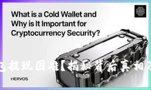 小狐狸钱包提现困难？揭秘背后真相及应对策略