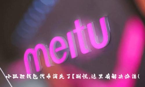 小狐狸钱包代币消失了？别慌，这里有解决办法！