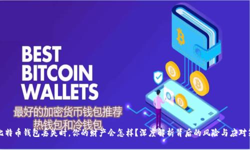 当比特币钱包丢失时,你的财产会怎样?深度解析背后的风险与应对策略