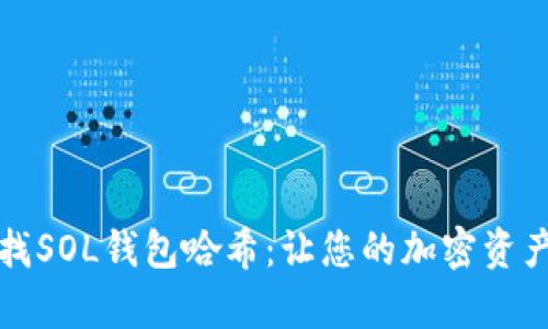 如何有效查找SOL钱包哈希：让您的加密资产管理更轻松