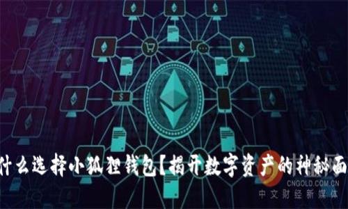 为什么选择小狐狸钱包？揭开数字资产的神秘面纱！