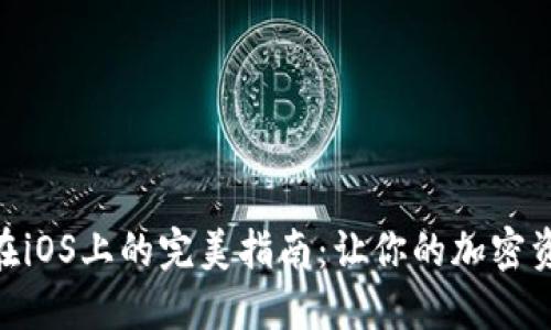 MetaMask在iOS上的完美指南:让你的加密资产安全无忧