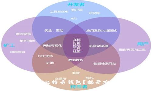 如何选择理想的比特币钱包？揭开安全与便捷的秘密