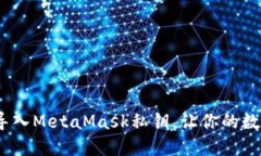 从零开始：轻松导入Meta