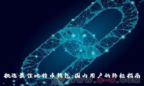 挑选最佳比特币钱包:国内用户的终极指南
