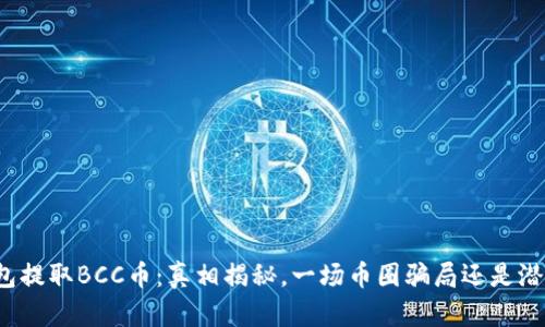 比特钱包提取BCC币:真相揭秘,一场币圈骗局还是潜在机会?