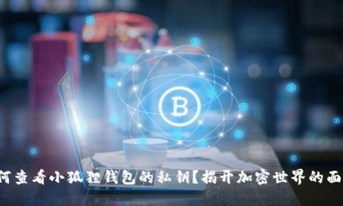 如何查看小狐狸钱包的私钥？揭开加密世界的面纱！
