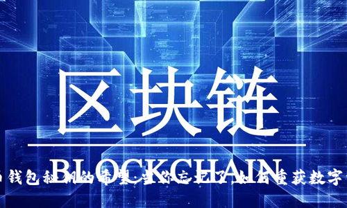 找回比特币钱包秘钥的希望:当你忘记了,如何重获数字资产的控制