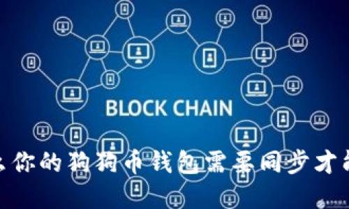 揭秘：为什么你的狗狗币钱包需要同步才能看到资产？