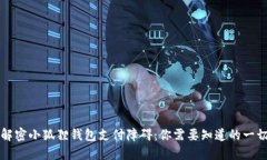 解密小狐狸钱包支付障碍