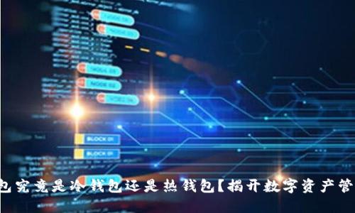 小狐狸钱包究竟是冷钱包还是热钱包？揭开数字资产管理的面纱！