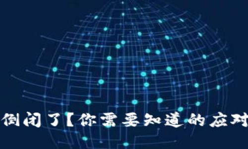 比特币钱包公司倒闭了？你需要知道的应对策略与保障措施