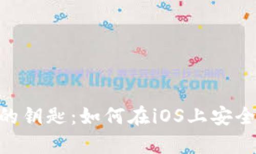 解锁数字财富的钥匙：如何在iOS上安全下载USDT钱包