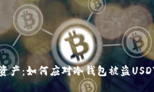 保护你的数字资产：如何应对冷钱包被盗USDT的恐惧与挑战