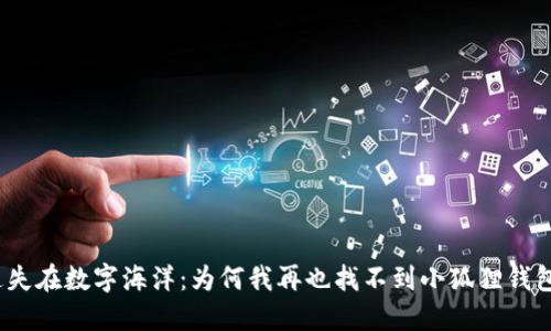 迷失在数字海洋：为何我再也找不到小狐狸钱包？