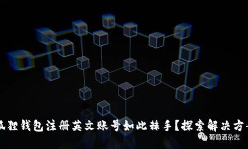 为何小狐狸钱包注册英文账号如此棘手？探索解决方案与技巧