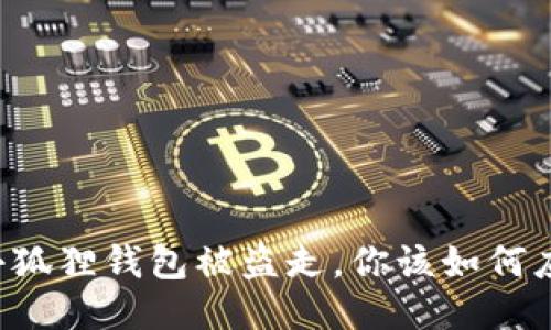 当小狐狸钱包被盗走，你该如何应对？