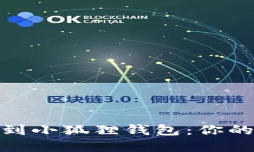 轻松添加MATIC到小狐狸钱包：你的数字资产新起点