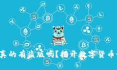 小狐狸钱包真的有盗版吗