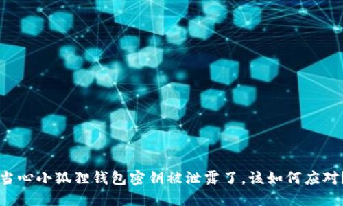 当心小狐狸钱包密钥被泄露了，该如何应对？