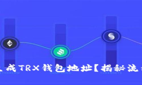 如何自定义生成TRX钱包地址？揭秘流程与注意事项