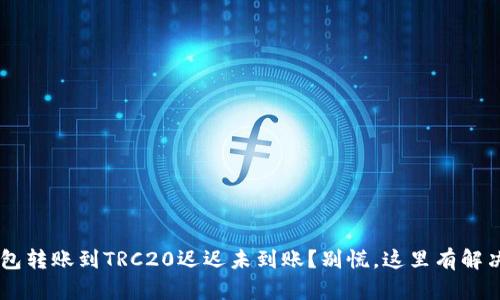 TRX钱包转账到TRC20迟迟未到账？别慌，这里有解决方法！