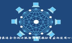 如何选择最适合你的小狐