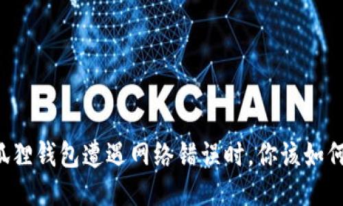 当小狐狸钱包遭遇网络错误时，你该如何应对？