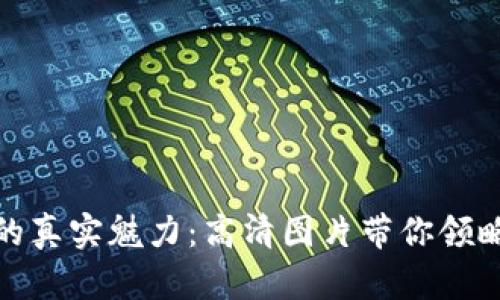发现小狐狸钱包的真实魅力：高清图片带你领略它的时尚与优雅