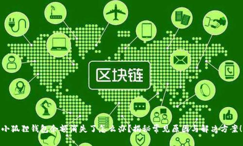 小狐狸钱包余额消失了怎么办？揭秘常见原因与解决方案！