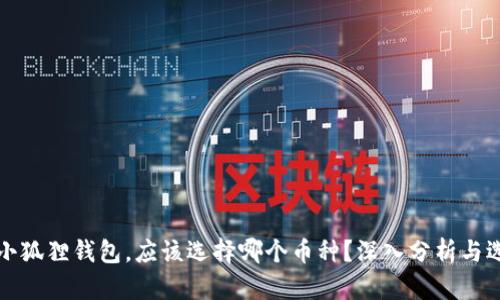提币到小狐狸钱包，应该选择哪个币种？深入分析与选择指南
