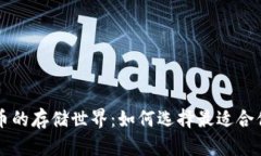 探索SOL币的存储世界：如