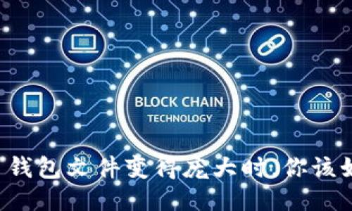 当比特币钱包文件变得庞大时，你该如何应对？