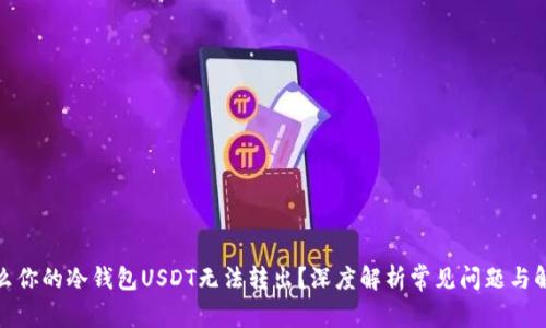 : 为什么你的冷钱包USDT无法转出？深度解析常见问题与解决方案