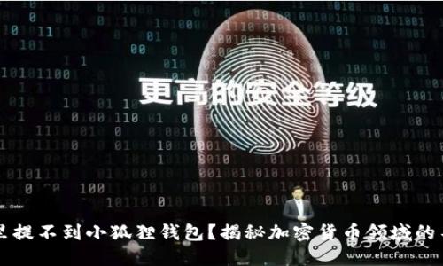 为什么中本通里提不到小狐狸钱包？揭秘加密货币领域的不为人知的秘密