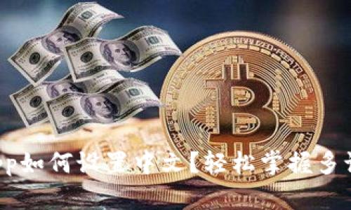 小狐狸钱包app如何设置中文？轻松掌握多语言切换技巧！