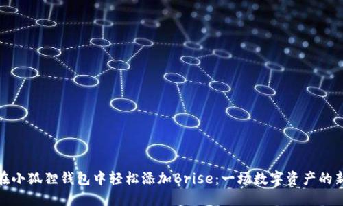 如何在小狐狸钱包中轻松添加Brise：一场数字资产的新冒险