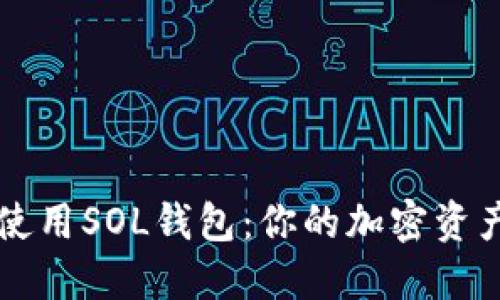 如何高效使用SOL钱包：你的加密资产管理助手