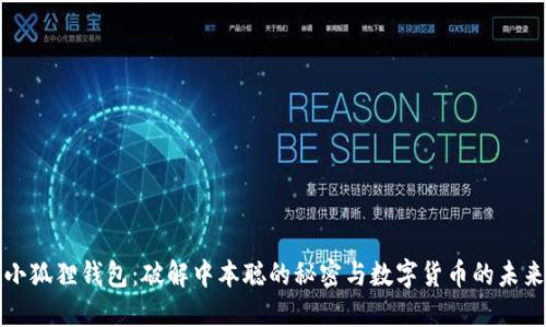 小狐狸钱包：破解中本聪的秘密与数字货币的未来