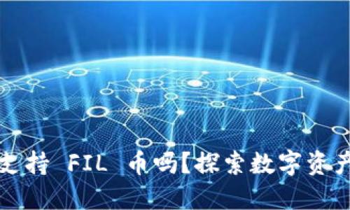 小狐狸钱包支持 FIL 币吗？探索数字资产的无限可能