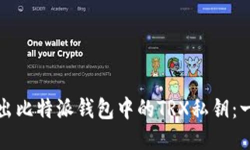 如何安全导出比特派钱包中的TRX私钥：一份详细指南