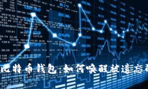 沉睡的比特币钱包：如何唤醒被遗忘的财富？