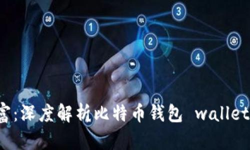 保护你的财富：深度解析比特币钱包 wallet.dat 的秘密
