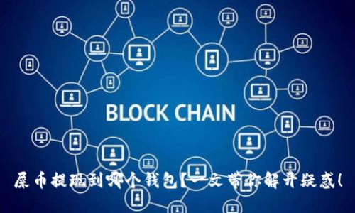 屎币提现到哪个钱包？一文带你解开疑惑！