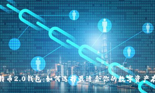 探索比特币2.0钱包：如何选择最适合你的数字资产存储方案