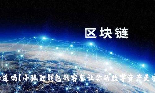 你知道吗？小狐狸钱包的客服让你的数字资产更安全！