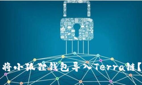 如何轻松将小狐狸钱包导入Terra链？全面指南