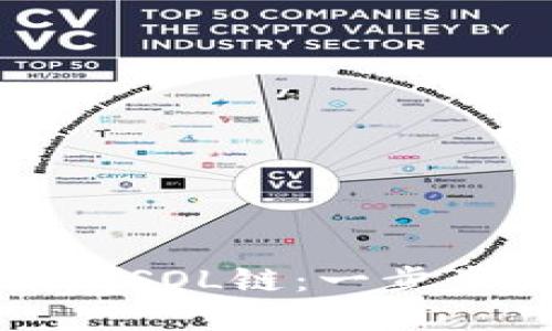 如何在TP钱包中添加SOL链：一步步教你玩转多链管理