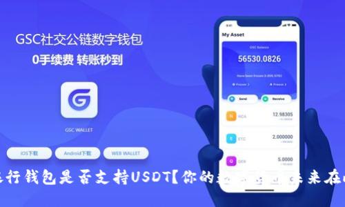 建设银行钱包是否支持USDT？你的数字货币未来在此揭秘