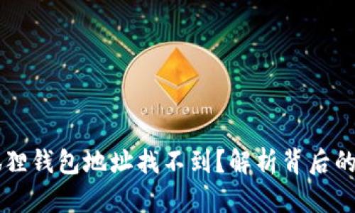 为什么你的小狐狸钱包地址找不到？解析背后的原因与解决方法